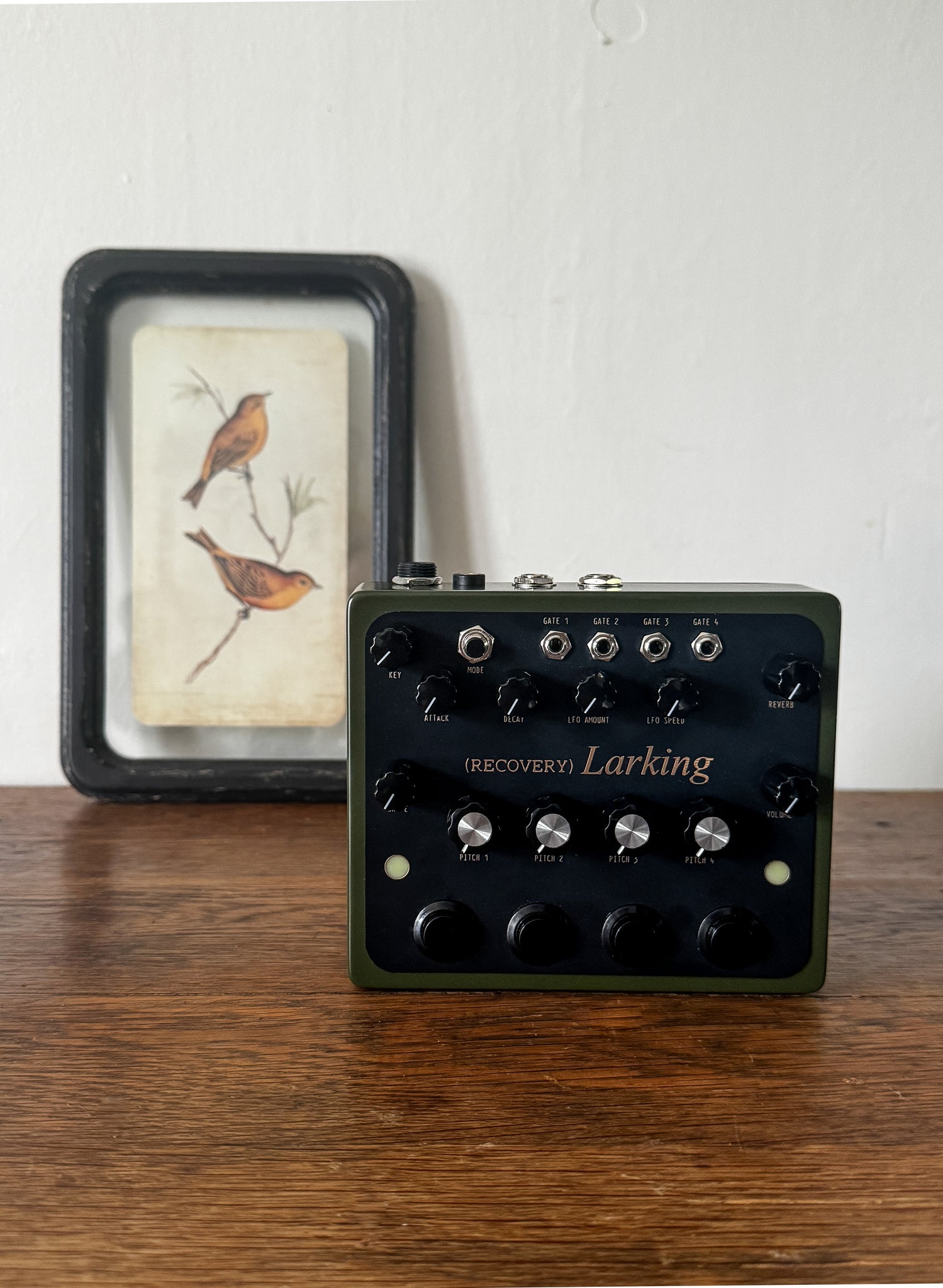 LARKING (4-Voice Ambient Drone Synth) – Recovery Effects and Devices