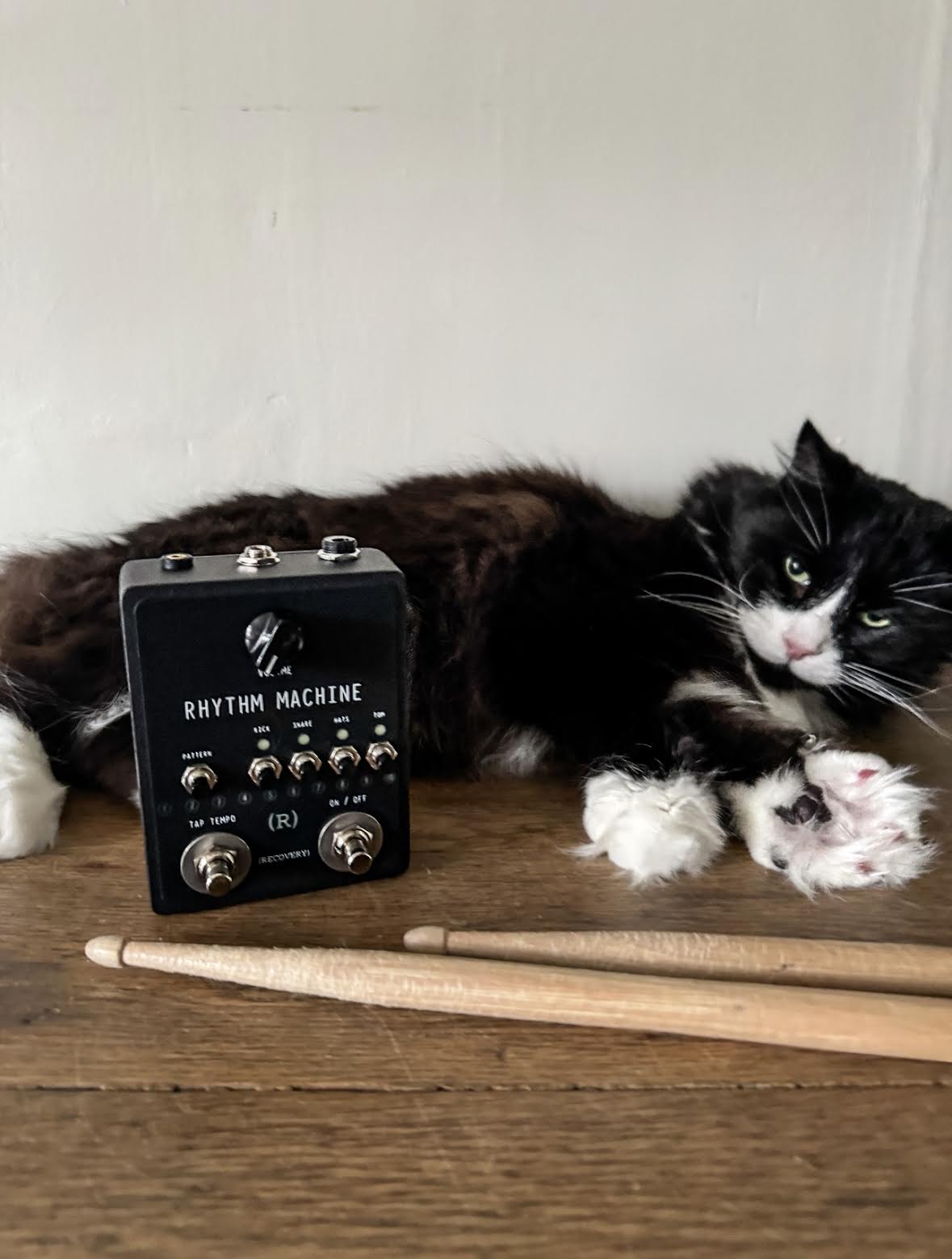 rhythm pedal RHYTHM MACHINE (Vintage Drum Machine Pedal)