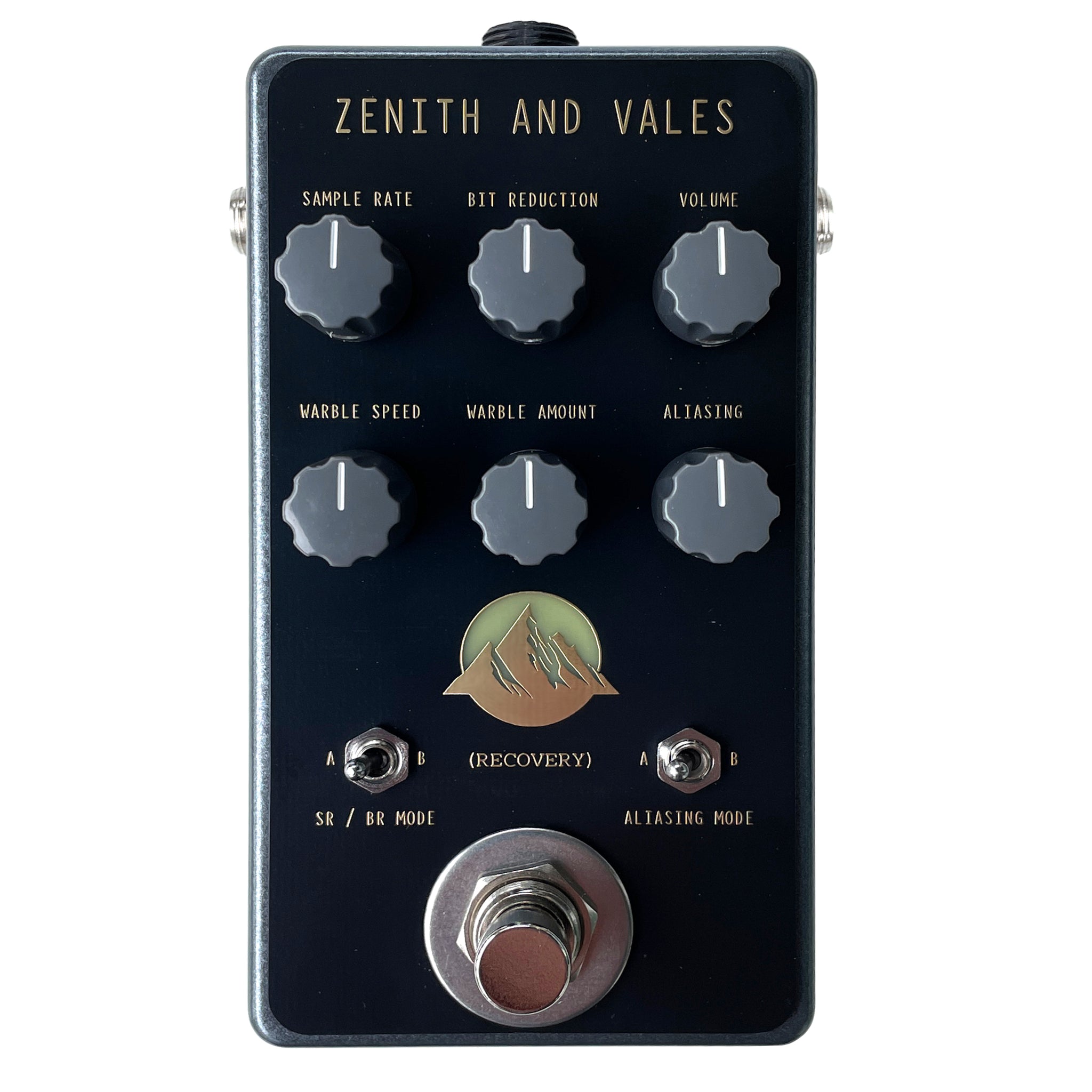 digital fuzz pedal ZENITH AND VALES (Bit Crushing Digital Fuzz effects pedal)