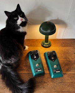 VERDIGRIS AND SINGLE FIRE  (Choose Your Fuzz)