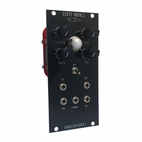 DIRTY MURALS EURORACK MODULE (Delay and Reverb)